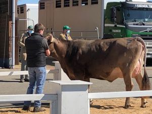 b060e707-e186-4b9f-b093-be238fabc3e5